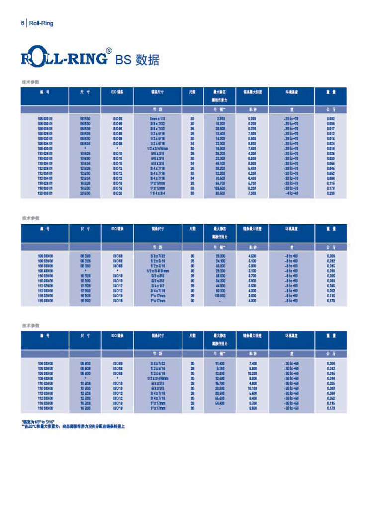 Renold 鏈條張緊器-6.jpg